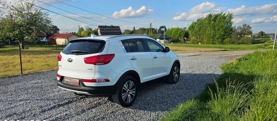 Kia Sportage cena 59900 przebieg: 157000, rok produkcji 2015 z Dębica małe 742